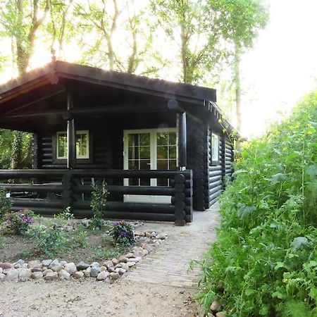 Knusse En Gezellige Blokhut De Bijenstal Villa Dedemsvaart Kültér fotó